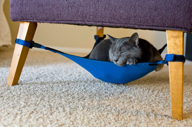 Cute Hammock for Pets by Cat Crib