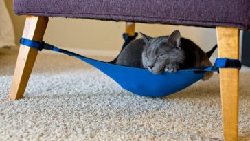 Cute Hammock for Pets by Cat Crib