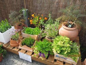 container flower pot for garden