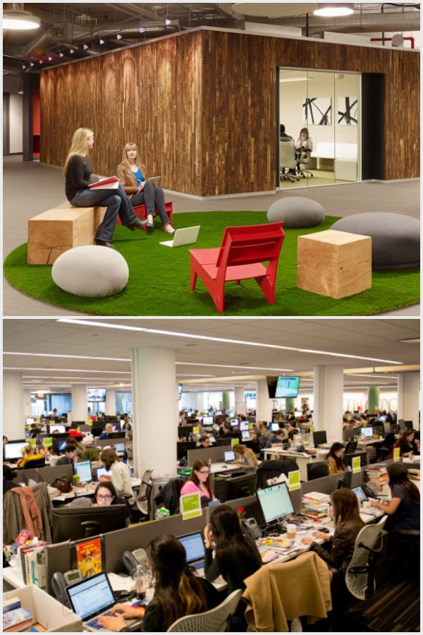 AoL-office-in-Palo-Alto-green-zone-office-space