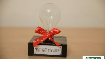 Finished DIY project using recycle light bulb for your other half