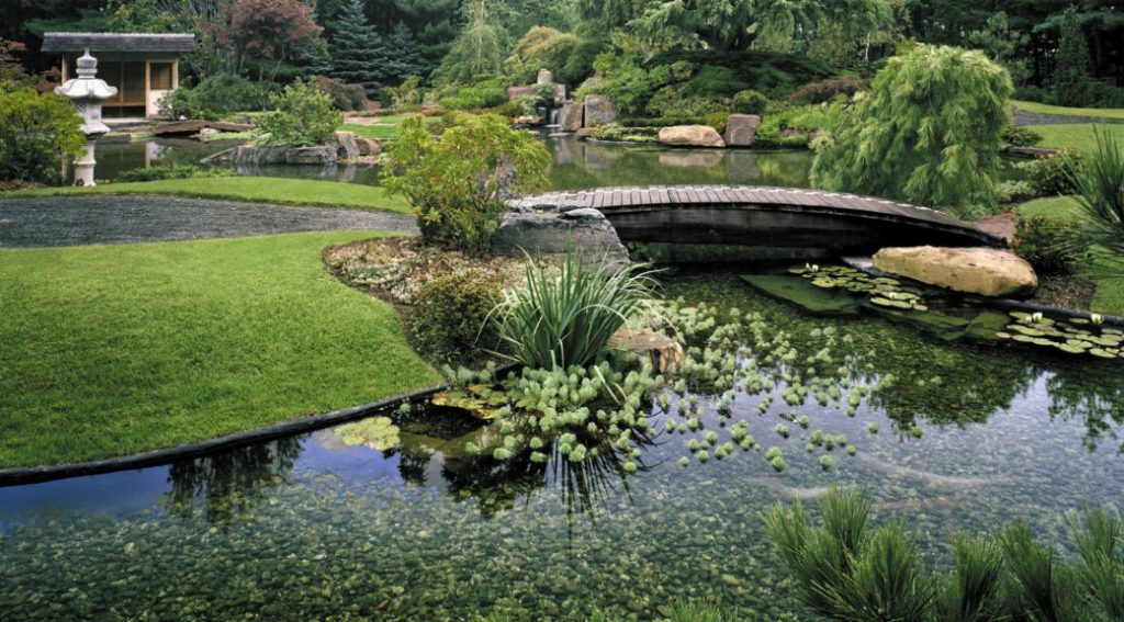 beautiful japanese garden in boston - contempory garden by zenassociates