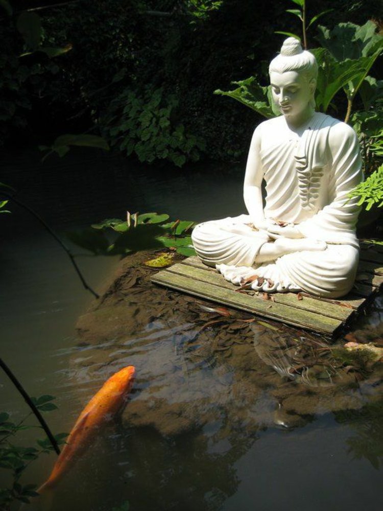 buddha statue in a fish pond zen garden