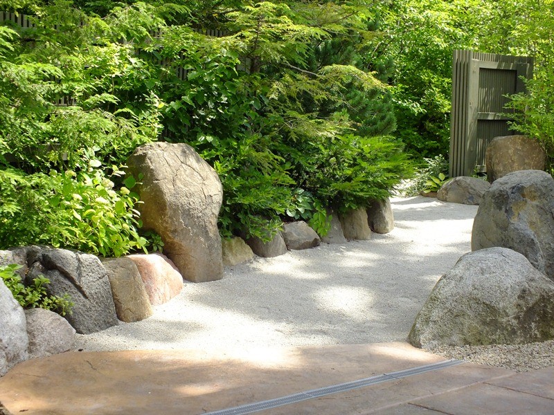 evergreen trees and flowers for japanese garden