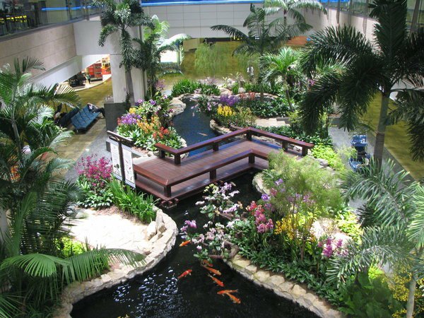 indoor fish pond in a zen style garden