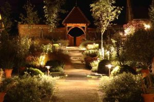 japanese garden at night with lighting