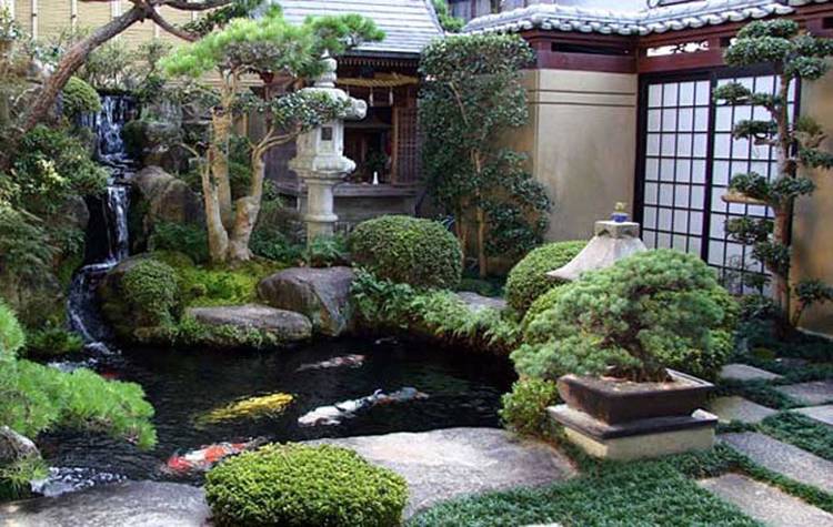 koi fish pond in a residential home