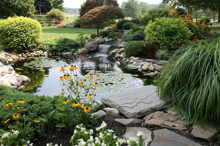rocky pond in japanese garden at home back yard