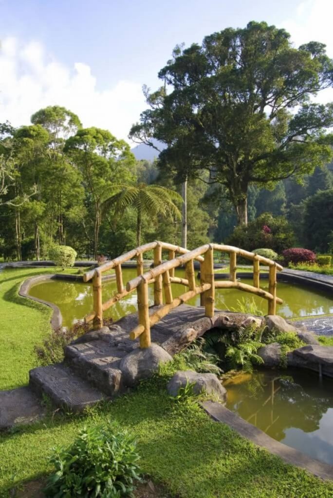small curving japanese style bridge over a small pond