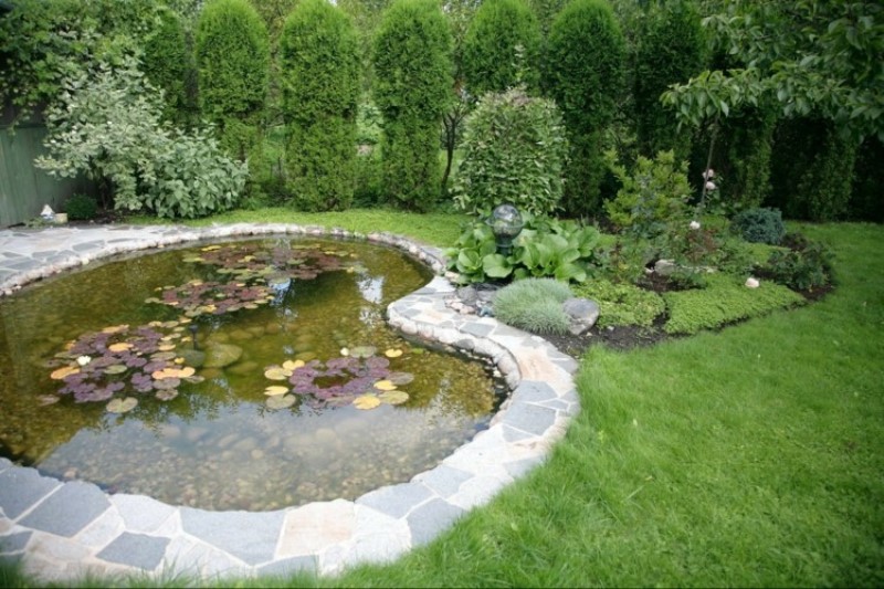 tree design with water pond in a japanese residential garden
