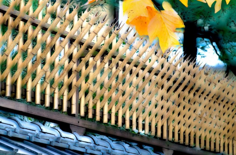 japanese bamboo fence