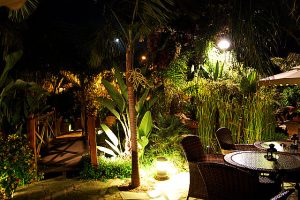 tropical private home garden at night