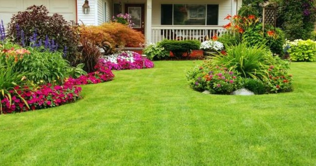 front yard beautiful lawn with rose garden design ideas