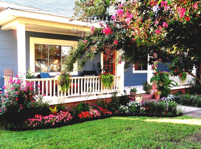 inspiring red rose garden in front yard for a residential home garden