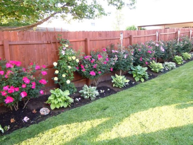 roses and flower garden along the fence