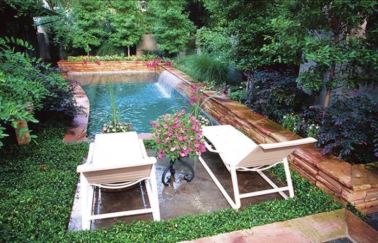small pool in a zen garden