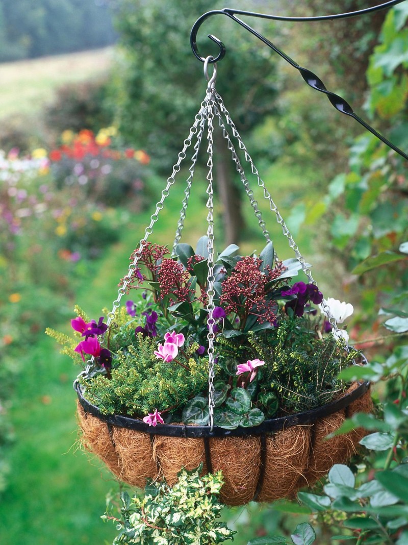 a hanging basket of flower