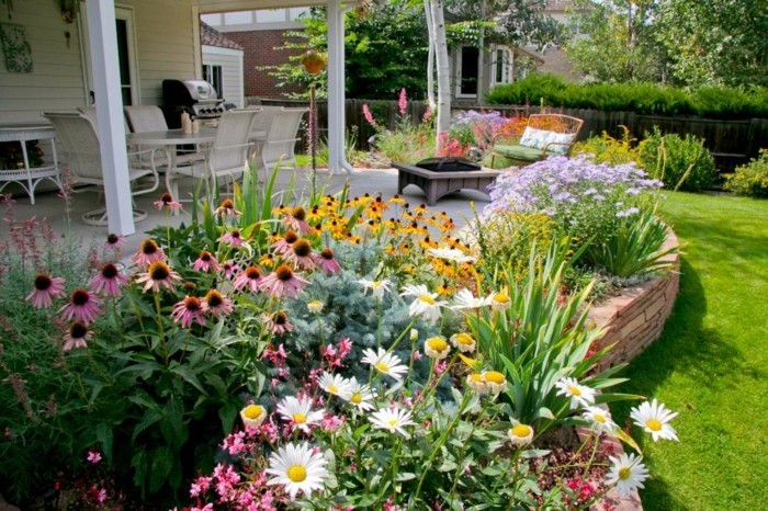 daisy and other flowers in front yard