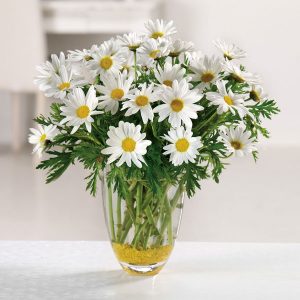 daisy flower arrangement in vase