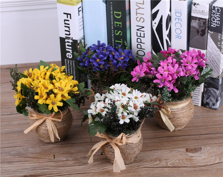 daisy flower in pot arrangement