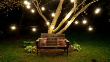 romantic outdoor lighting on a tree and a couple seat
