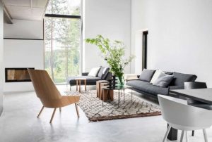 scandinavian living room with plant