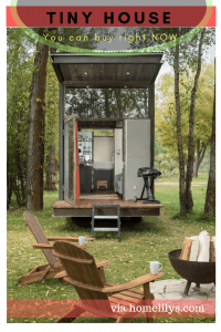 tiny houses you can buy right now