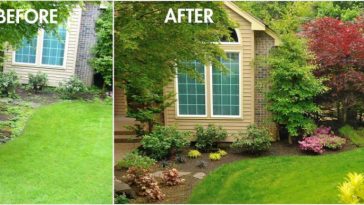 backyard makeover before and after