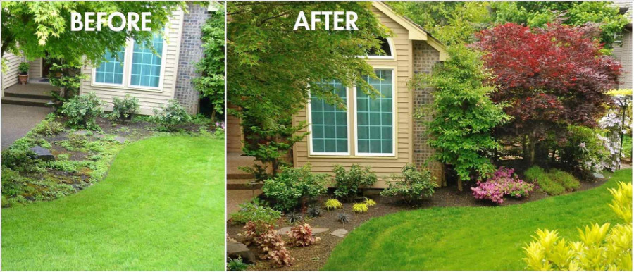 backyard makeover before and after