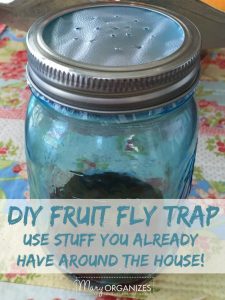 mason jar fly trap with vinegar