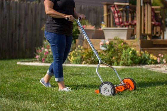 Greenworks lawn mower reviews: What is the best model to buy?