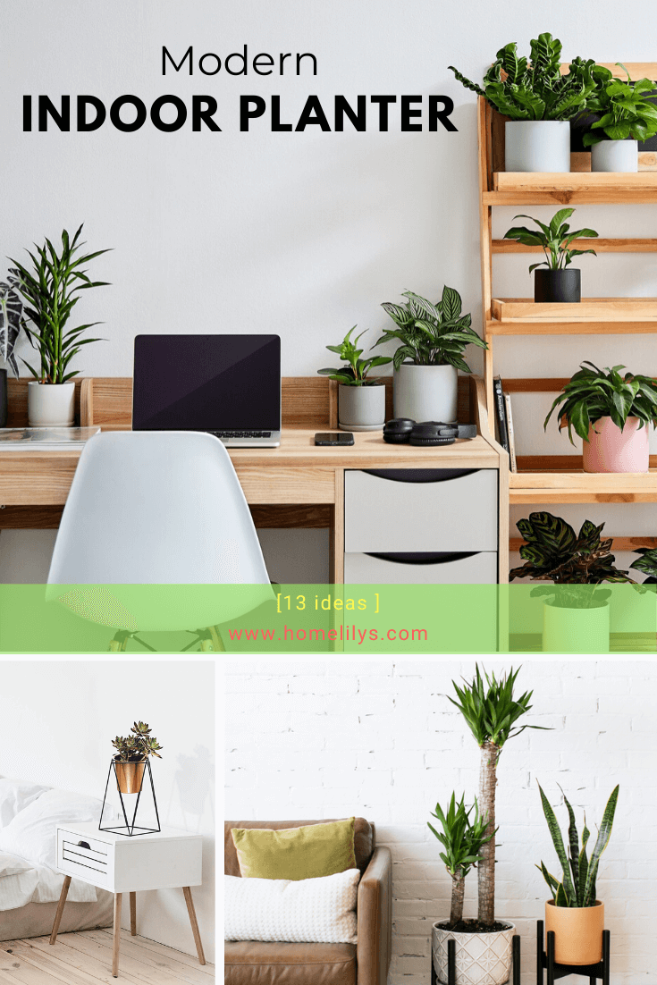 Beautiful Modern Indoor Planters